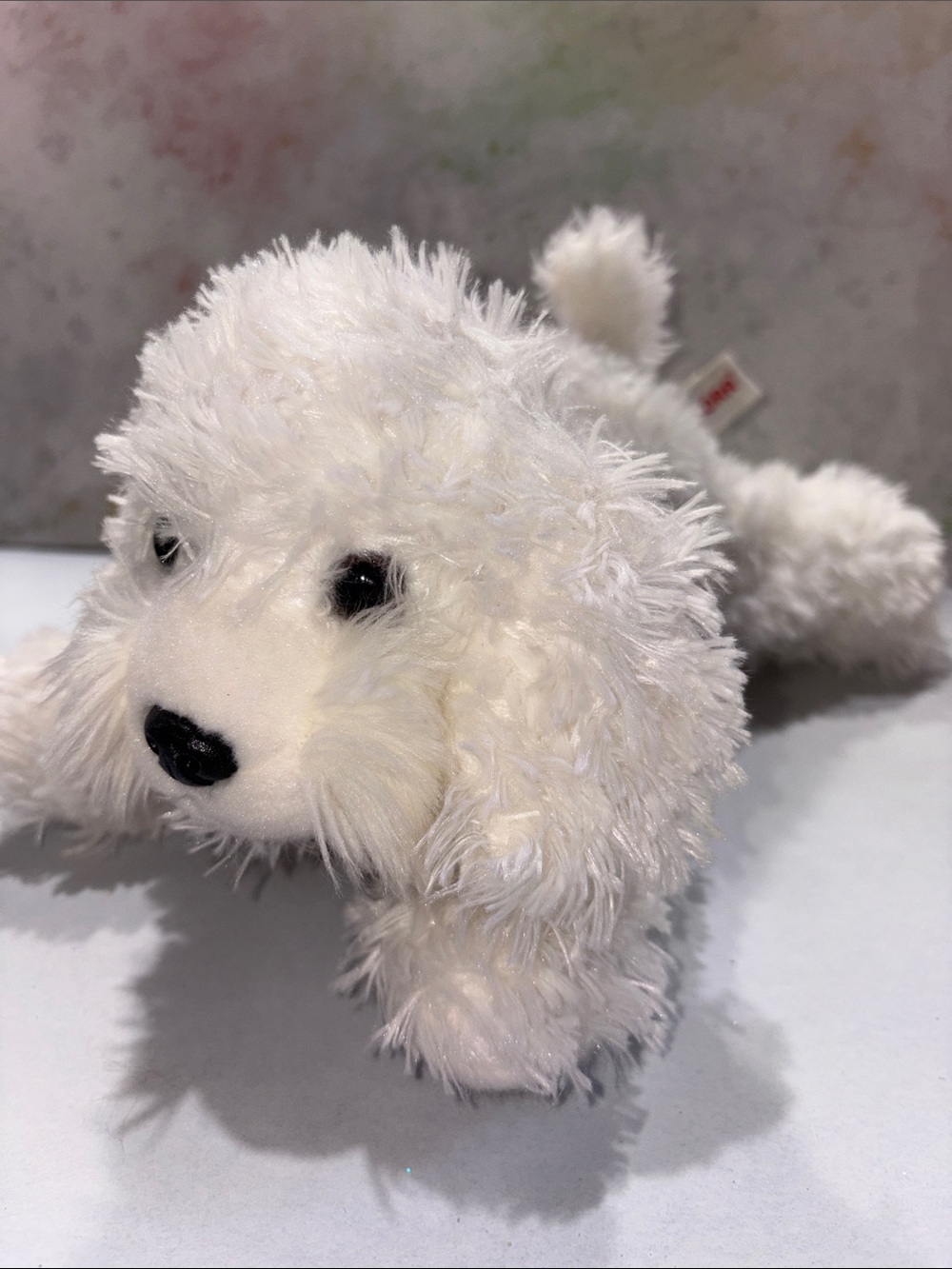 Aurora flopsie Maltese lying flat Bonita 12” white dog stuffed plush beanie toy